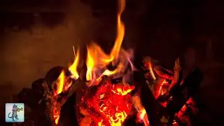 12 HOURS of COZY Fireplace Close Up 4K - Warm Cracking Fire Sounds (NO MUSIC)