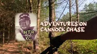 Cannock Chase off piste