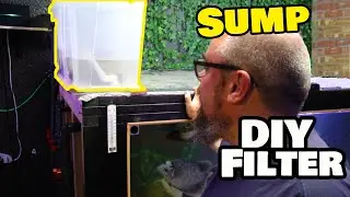 DIY Overhead sump filter -  Aquarium Filtration ON THE CHEAP!