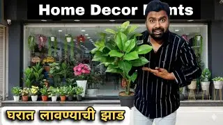 Home decor shop in nashik 🏡 | Nashik artificial flower market