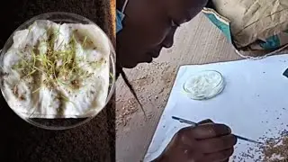 How to test Boma Rhodes grass seeds germination in a petri dish