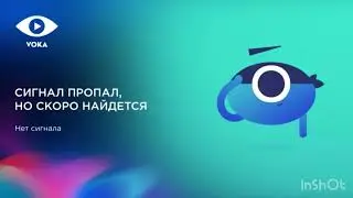 Компания Voka закрыла проект &laquo;The Buddyman Network HD&raquo; в России. (April 27th 2022)