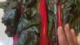 Cooking Swiss Chard with Kim Evans, MA