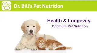 Health & Longevity | Optimum Pet Nutrition | Dr. Bill's Pet Nutrition | The Vet Is In