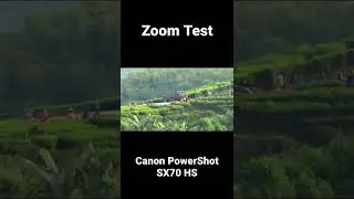 Zoom Test Canon PowerShot SX70 HS Best Zoom Camera Entry Level