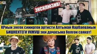Алтынай Нарбаева Бишкектеги ДАЧАЛАРЫН КОРСОТТУ / Шер ченел