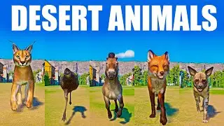 Desert Animals Speed Races in Planet Zoo included  Przewalski's Horse, Emu, Caracal, Hyena