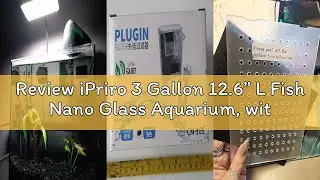Review iPriro 3 Gallon 12.6” L Fish Nano Glass Aquarium, with Separator Plate for Betta, Multi-Funct