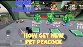 HOW TO GET NEW PET PEACOCK 🦚 STEAL A PET ! PEACOCK KESE NIKALE  STEAL A PET TIPS AND TRICKS VIDEO 