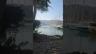 D Marin G&ouml;cek Marina 4