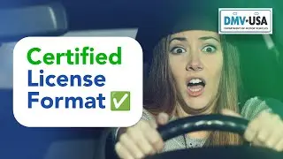 Get Your Driver's License Translation Accepted by the DMV