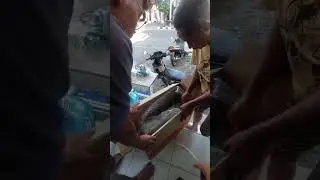 Mesin singer direct drive servo auto potong benang  F series