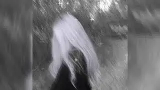 [FREE] 