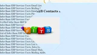 Infor Baan ERP Services Users CEO Email List