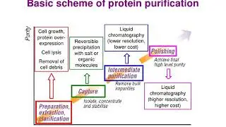 Cell protein fractionation 1
