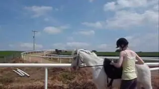 The Smallest Pony I Ever Rode.