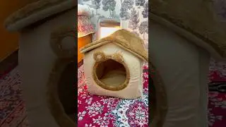 House for cats on meesho❤️🐱 🐈 #shorts #youtubeshorts #heenakiduniya #minivlog #meesho