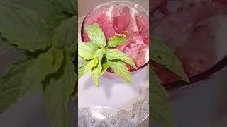 #Shorts&nbsp;Falsa Ka Sharbat Recipe | Falsa Juice Recipe | Easy to make drink | Healthy Juice