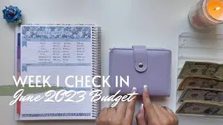 Week 1 Check In | June 2023 Budget | Inconsistent Income | College Student | 23 Year Old