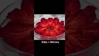 Elements & Metal Proliferation,Chemical Reaction of Gem & Metals, Nature&rsquo;s Beautiful Minerals #asmr