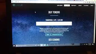 My NumIv Loan and the  ICOs I am in, BitAi, LoopX, MonyX, Bitfinite, GoldGate, Chrysos