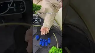 FlexiGrip Rehab Gloves &ndash; Restore Strength Effortlessly!