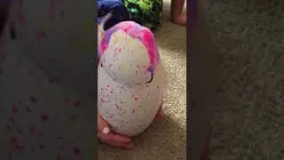 Hatchy Birthday