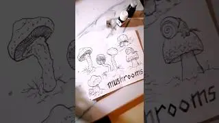 Mushroom Ink Doodles ✨ Draw with Me #sketchbookspread #inkdoodles #mushrooms