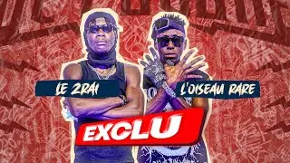 [EXCLU] AMEKA ZRAI FEAT L'OISEAU RARE - SANT&Eacute;&nbsp;#OCTOGONE
