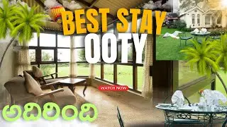 Best Stay in Ooty | Sherlock Holmes Inspired Hotel | Best hotel in Ooty