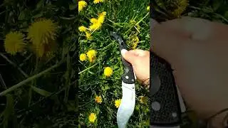ColdSteel Voyager Vaquero XL