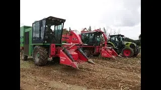 Ensilage Ma&iuml;s Exp&eacute;rimentaux | KWS FRANCE