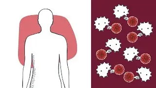 Aids: Was passiert im K&ouml;rper? &ndash; logo! erkl&auml;rt &ndash; ZDFtivi
