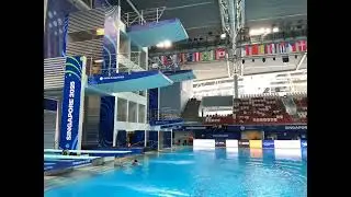 2025 SINGAPORE World Aquatics Masters Championships Diving - Platform Men 50 to 54