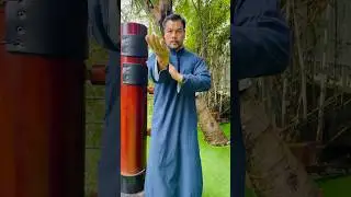 Wing Chun Tan Sao #martialarts #masterphan #wingchun #kungfu #tansao #woodendummy #usa #india #uk