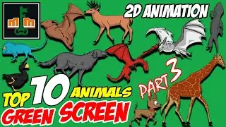TOP 10 ANIMALS  2D ANIMATION GREEN SCREEN PART 3