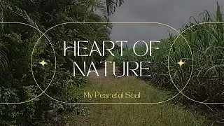 Heart of Nature: Relaxing Music to Connect with the Earth's Serenity