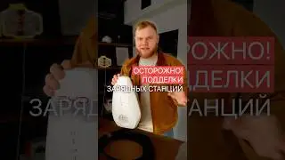 Осторожно! Поддельные зарядные станции для электромобилей