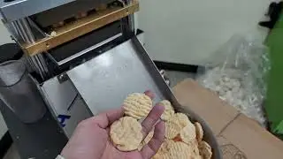 SYP4506R Ridged popped potato chips making machine test by potato pellet