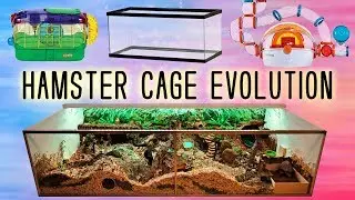 My Hamster Cage Evolution & Progression Through the Years