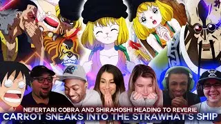 Carrot sneaks into the Strawhat's ship ! Cobra And Shirahoshi Heading to Reverie ! Reaction Mashup