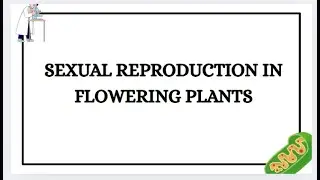 Sexual Reproduction in Flowering Plants Class 12 Biology | NCERT Full Chapter in Easy Language
