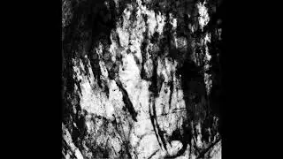 Daniel Menche - The Face of Vehemence (2002) [FULL ALBUM]