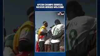 Senegal's AFCON Champions Receive Heroes' Welcome with Victory Parade Through Dakar Streets