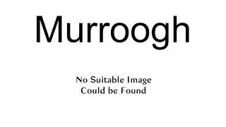 Murroogh
