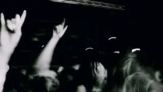Jack Is Dead - Pressure (Visualizer)