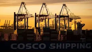 Hamburger Hafen: Streit um Beteiligung der chinesischen Reederei Cosco