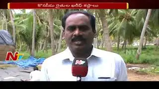 Farmers Face Problems With Heavy Rains | Damaged Paddy Crops | Huge Loss to Farmers | NTV