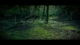 DSK 