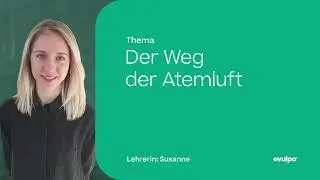 Der Weg der Atemluft & Vorg&auml;nge bei der Atmung